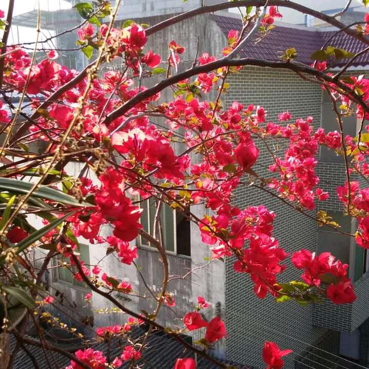 携手并肩