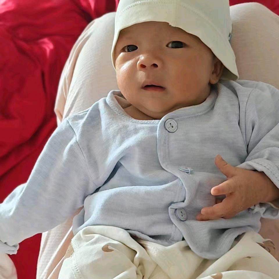 🧸🧸🧸🧸🐶🐶🐶