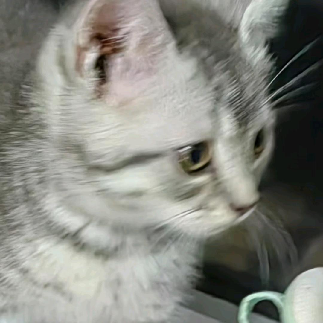 银河游泳健身小蒋