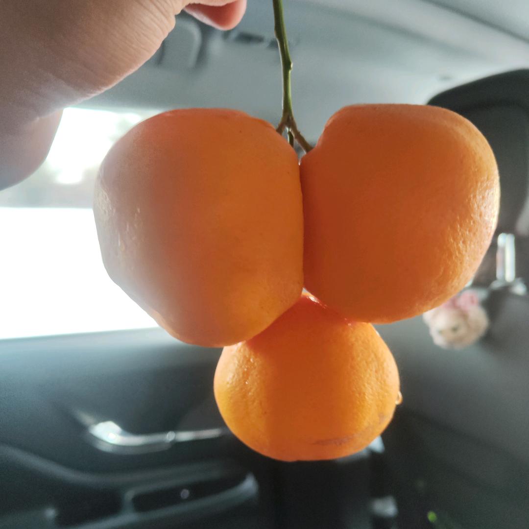圈圈