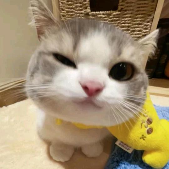 再来一碗