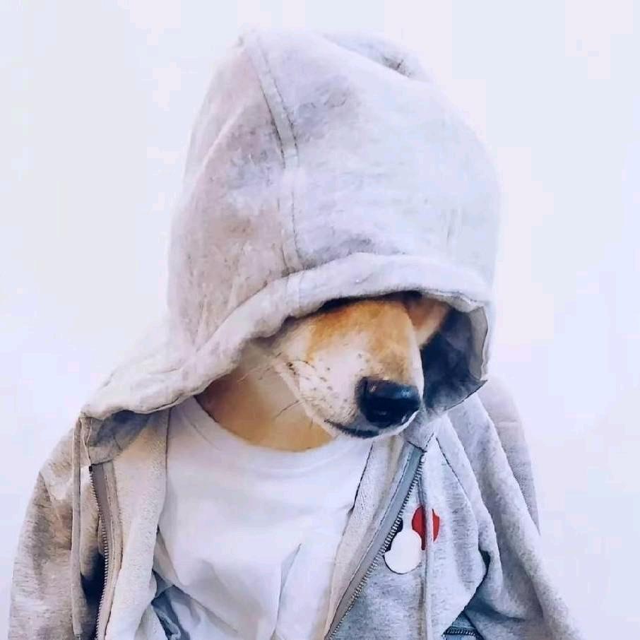 陪你看世界@