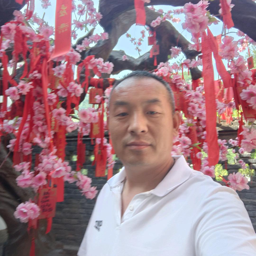 蚂蚁牵缘