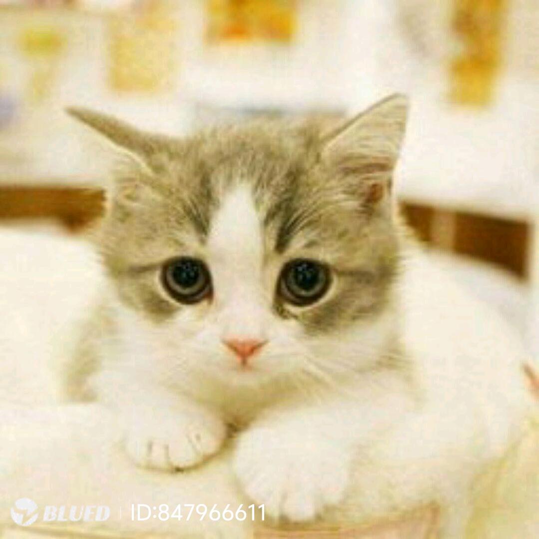 我帅哥