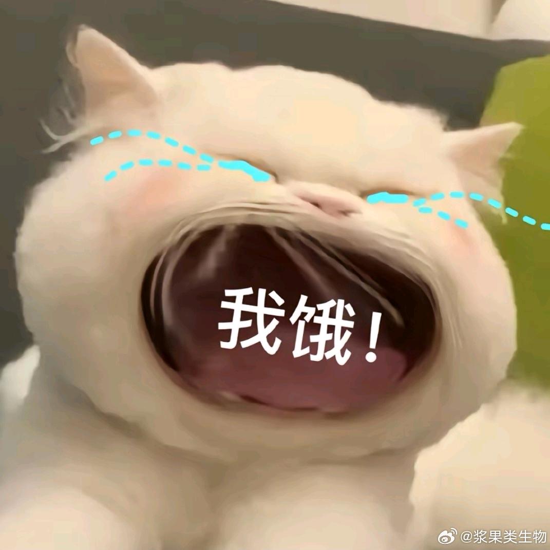 桥弋桥