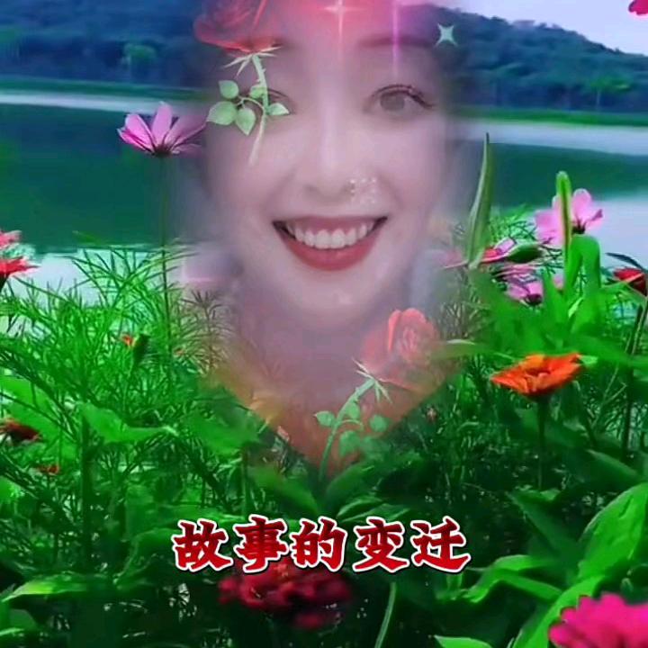 金苹果