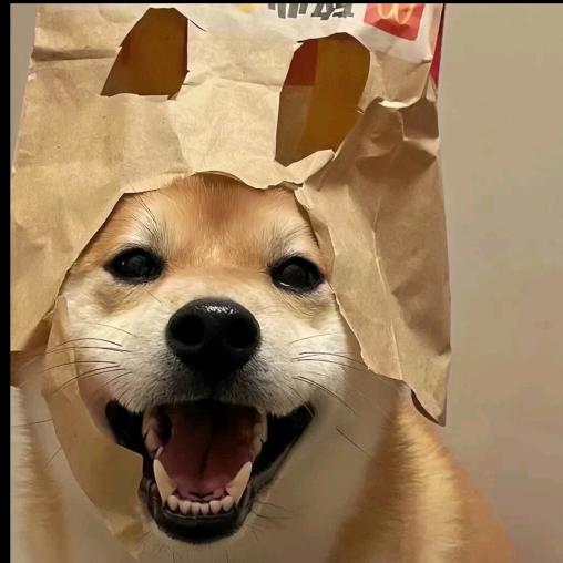 有樊脑