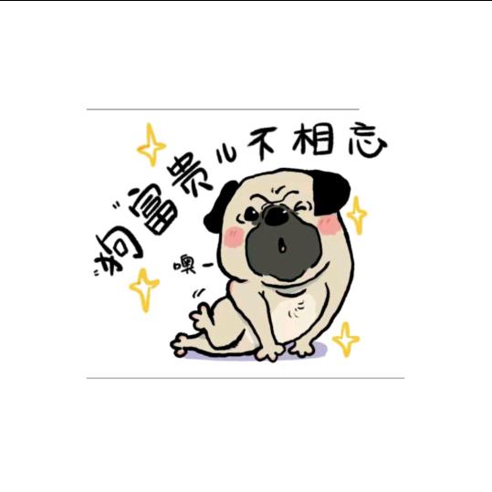 🐻富贵大可爱🐻⁵¹⁷