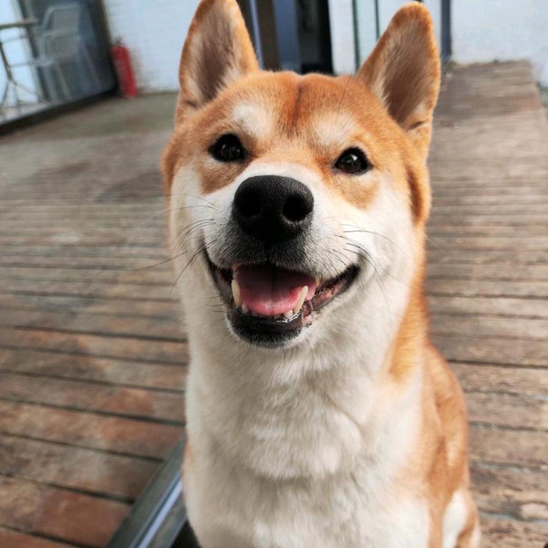 阿伟