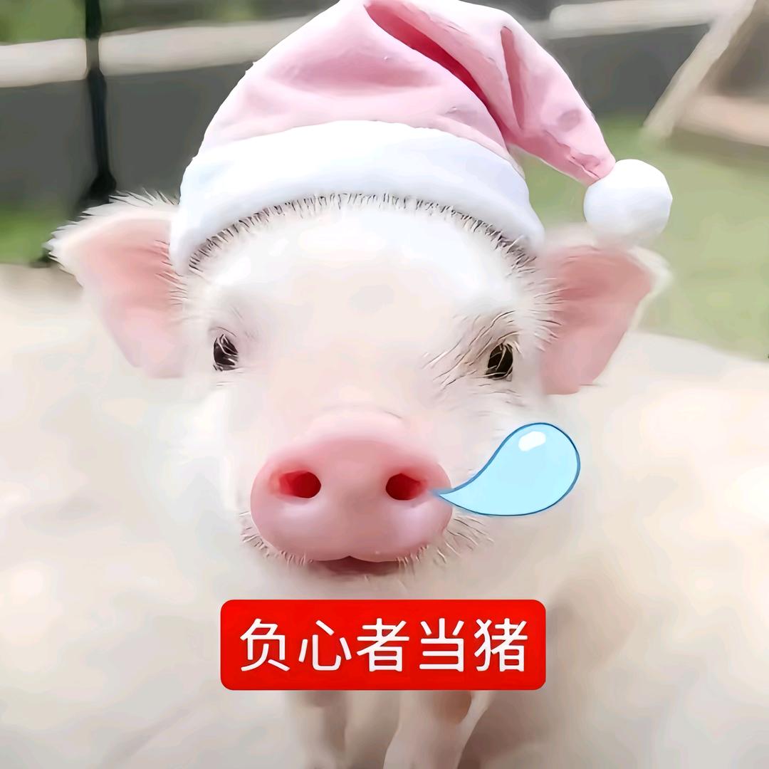 陈述词^