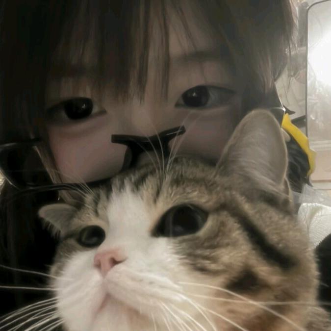 悲伤小猫^