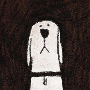 马孔多不下雨了