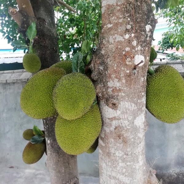 梦想起飞