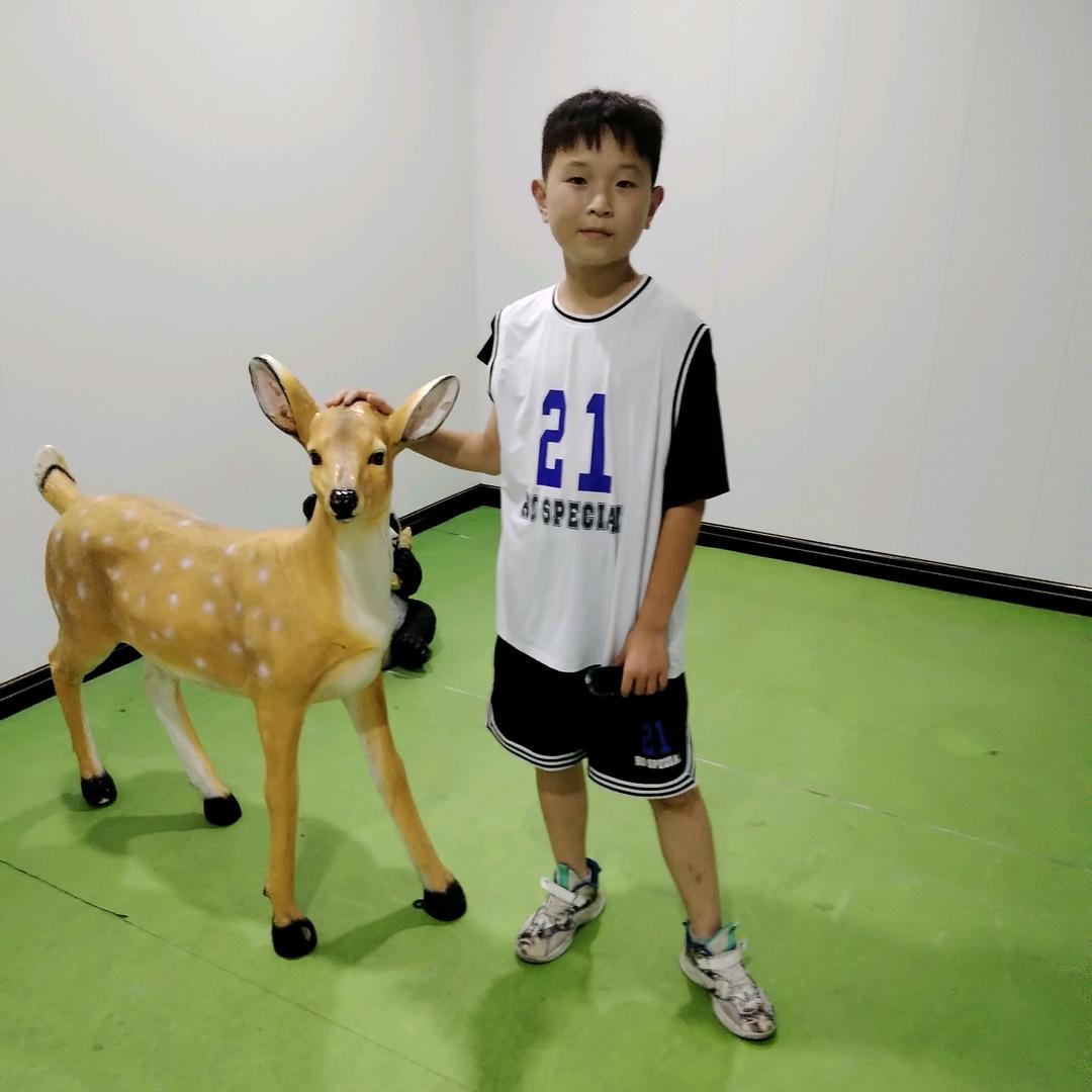 静谧雅致