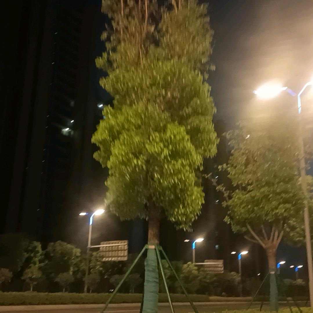 @楚东活禽宰杀