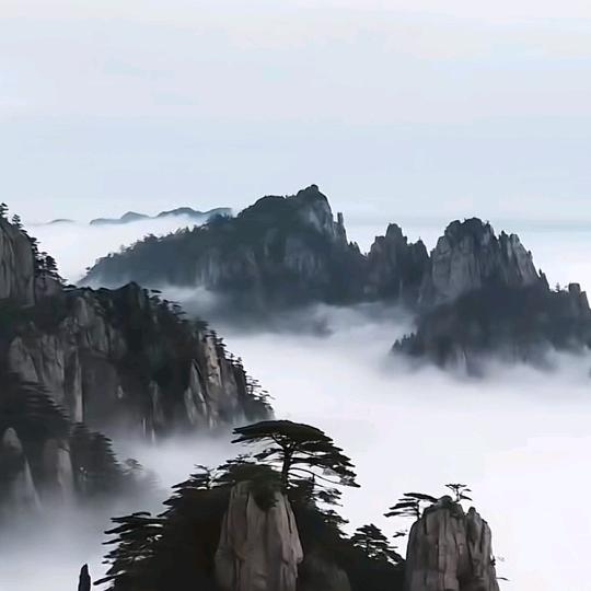 三杯醉