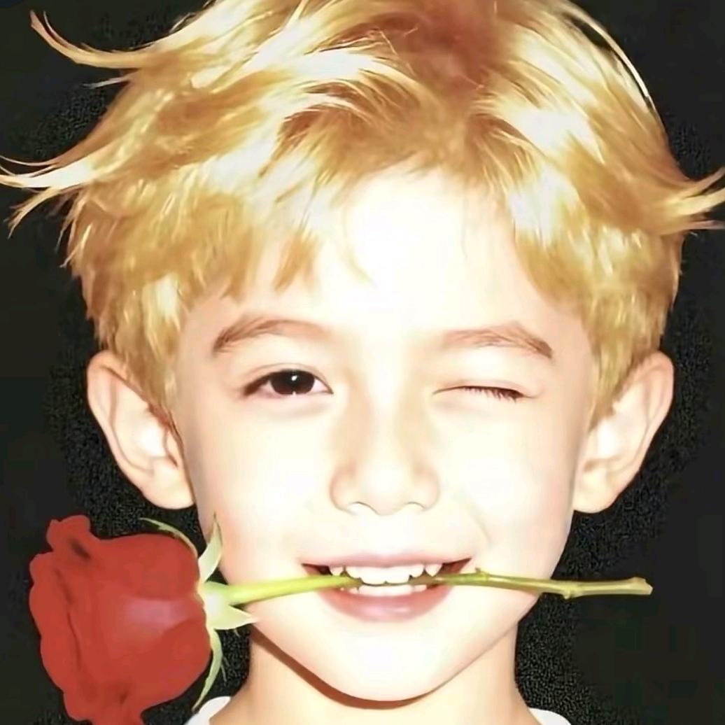 🔥芒康平松🔥