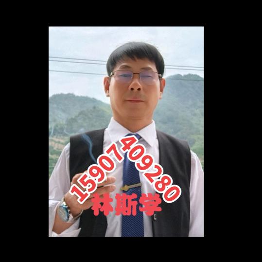 林斯学