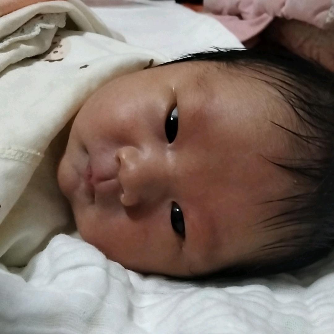 愤怒的小鸟