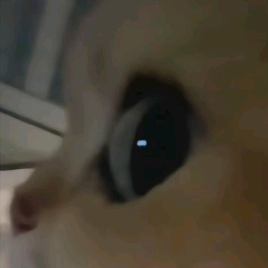 biubiu÷