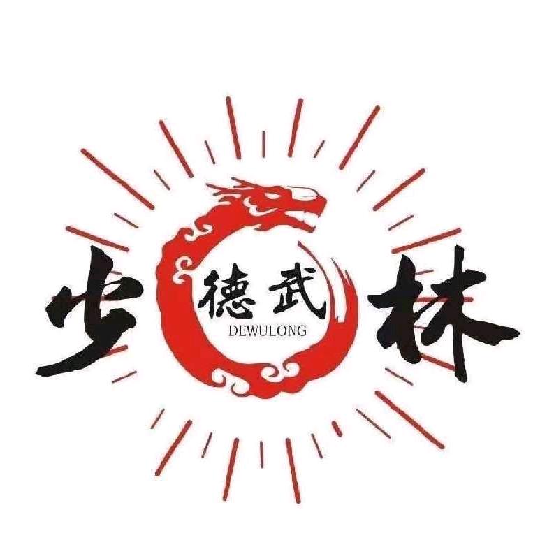 德武龙武术搏击