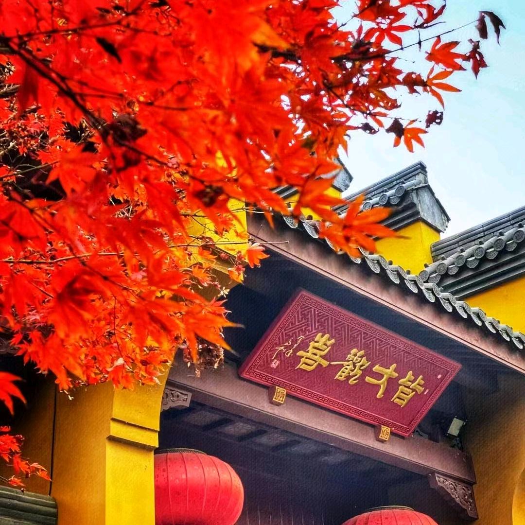 日月