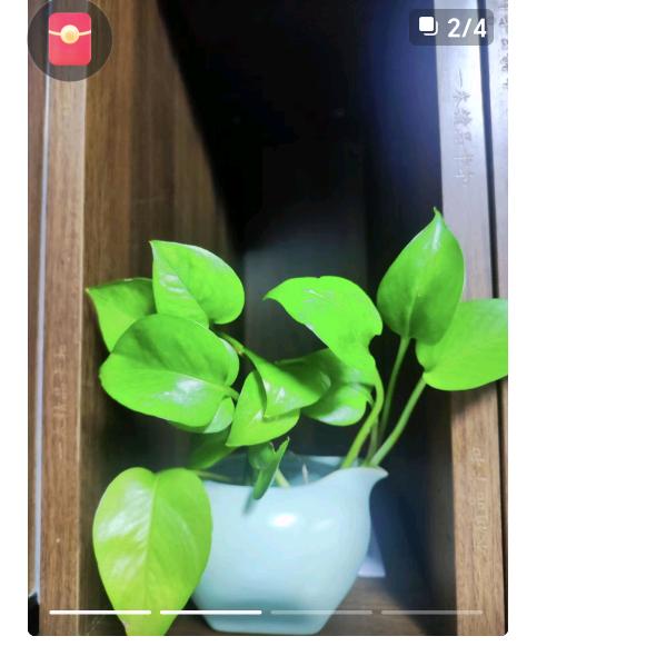 。，。，1