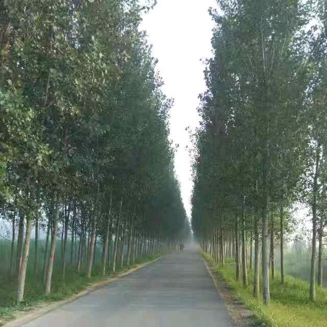 济南曳舞任我行