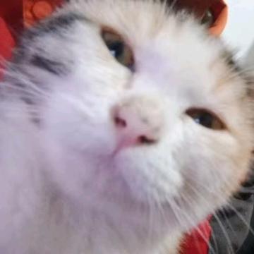亿贤在线