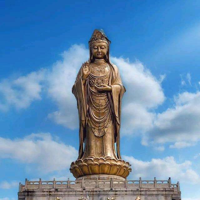 冯元太