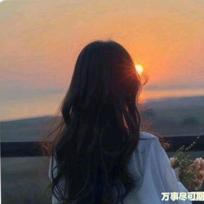 凤姐