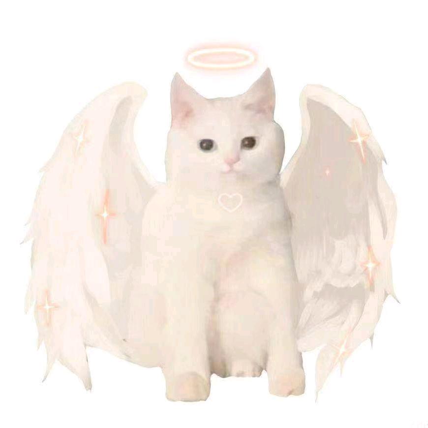 cs♡白桃喵喵酱.天使猫猫教大教主♡