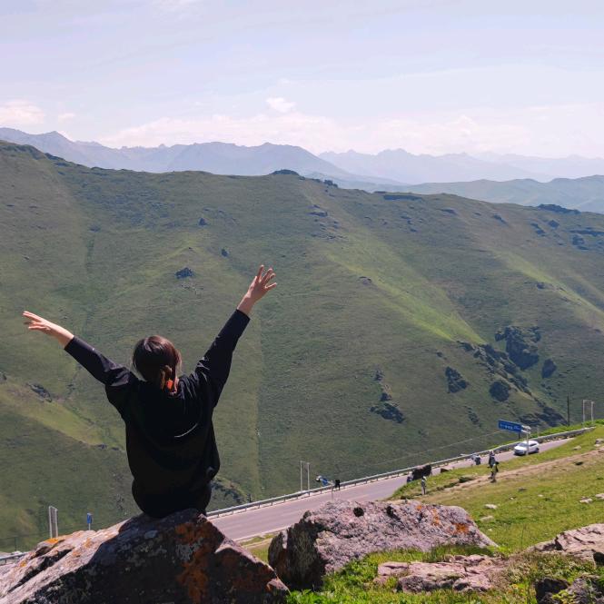 华住推荐官—羊睡不着了数什么