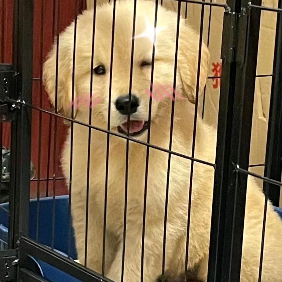 我是开心