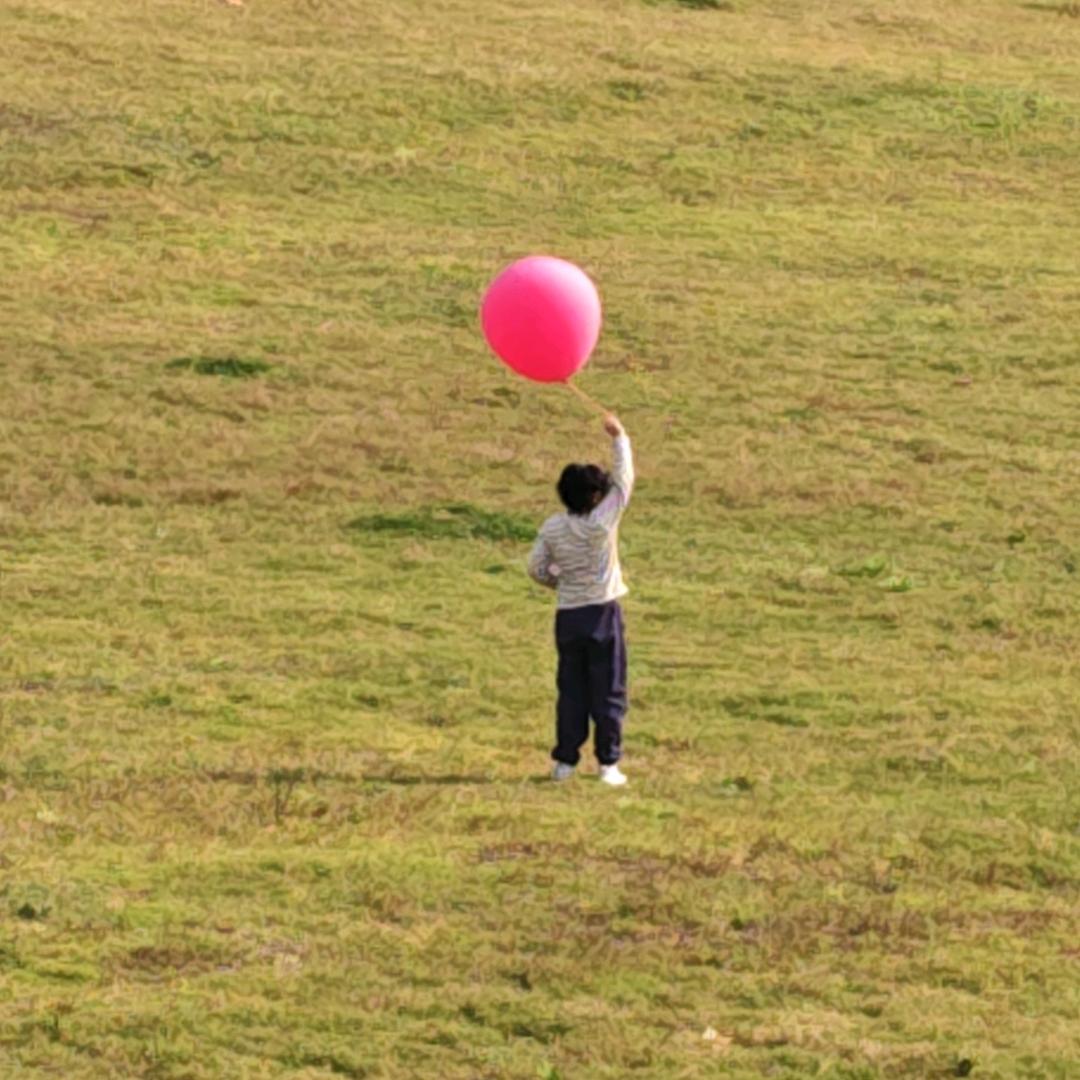 跃出鱼缸的金鱼