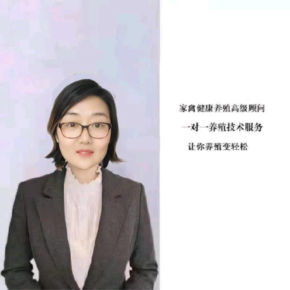 肉鸡肉鸭全程辅导资深顾问——雪梅老师