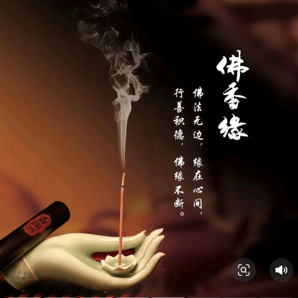 聪月
