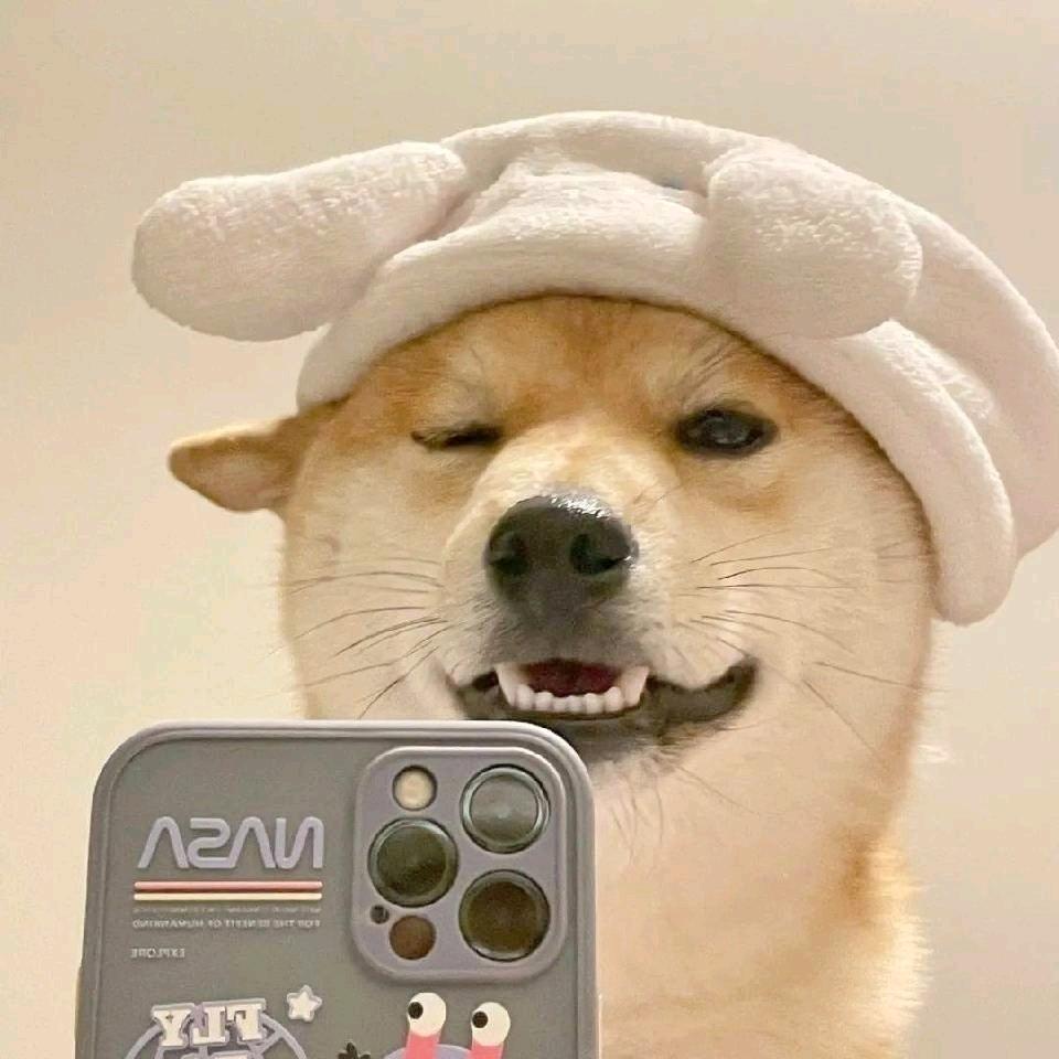 🤠小李不叨