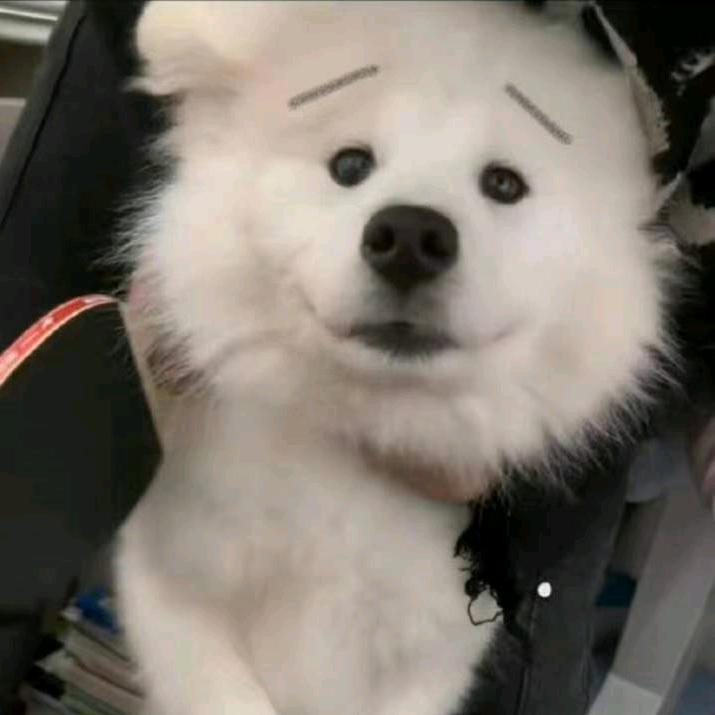 小汐✨