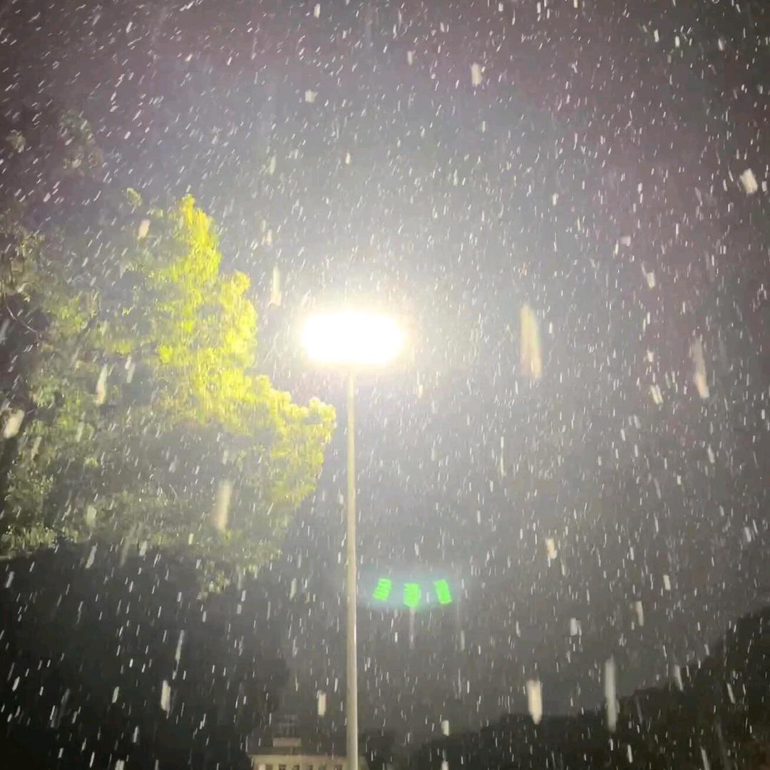 牛壮实(主页🈶新生群)