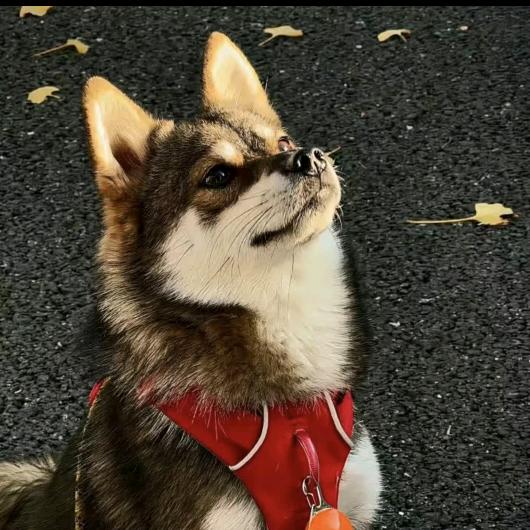 想看不知名的海