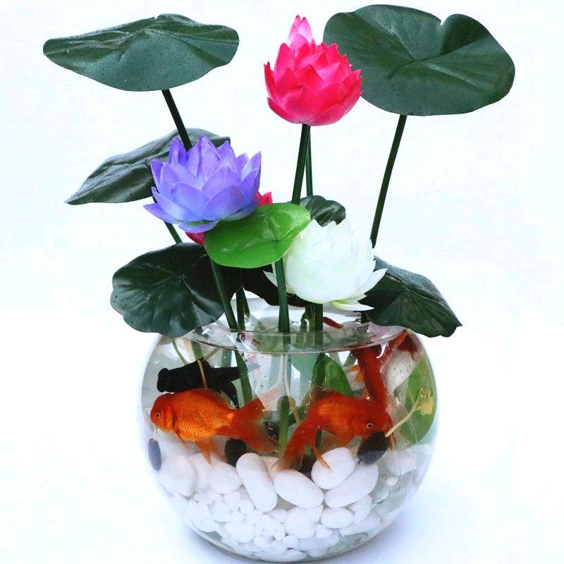 等风等雨不等你