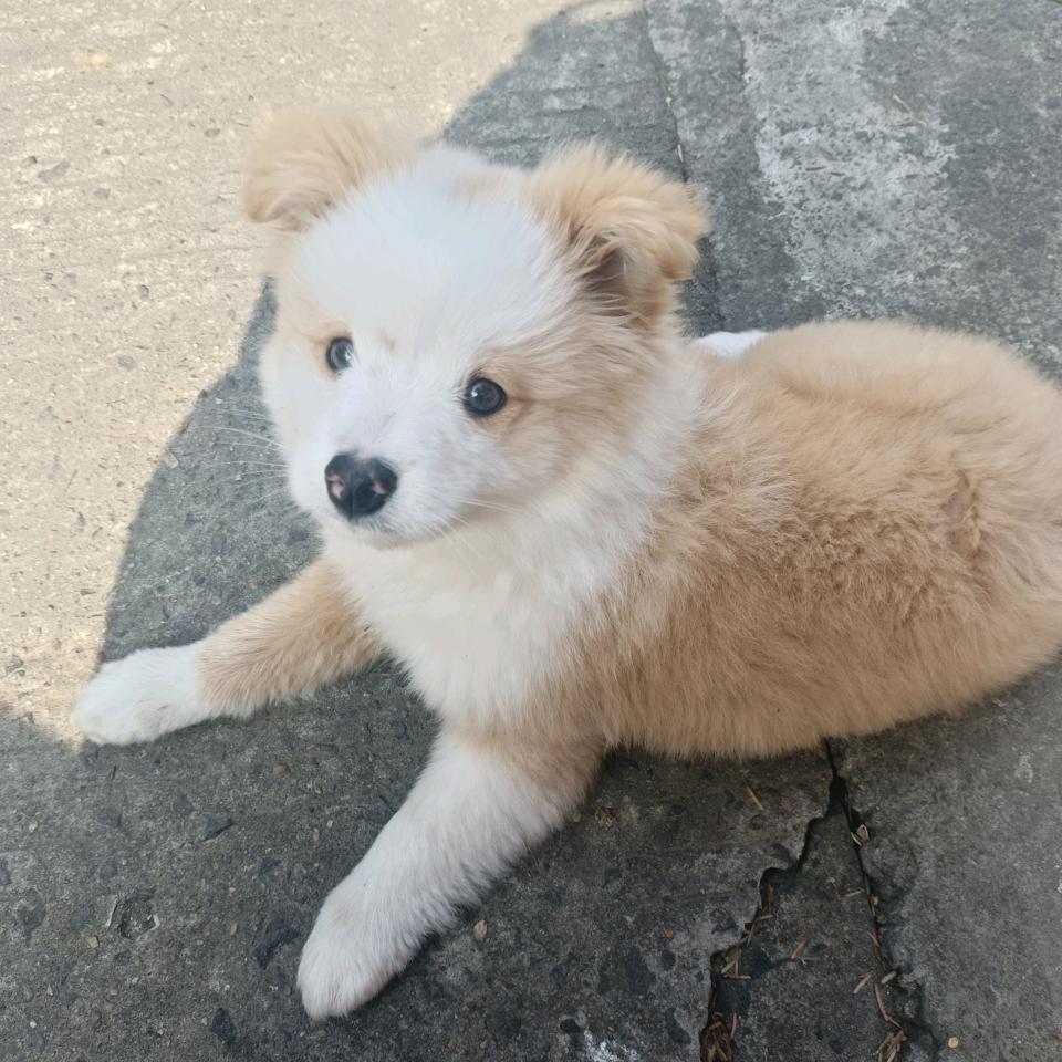 你是我最熟悉的陌生人