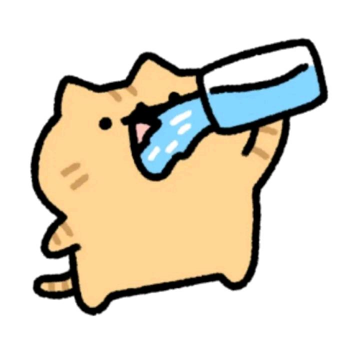 优雅的飞