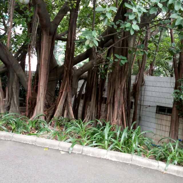 幸福来敲门
