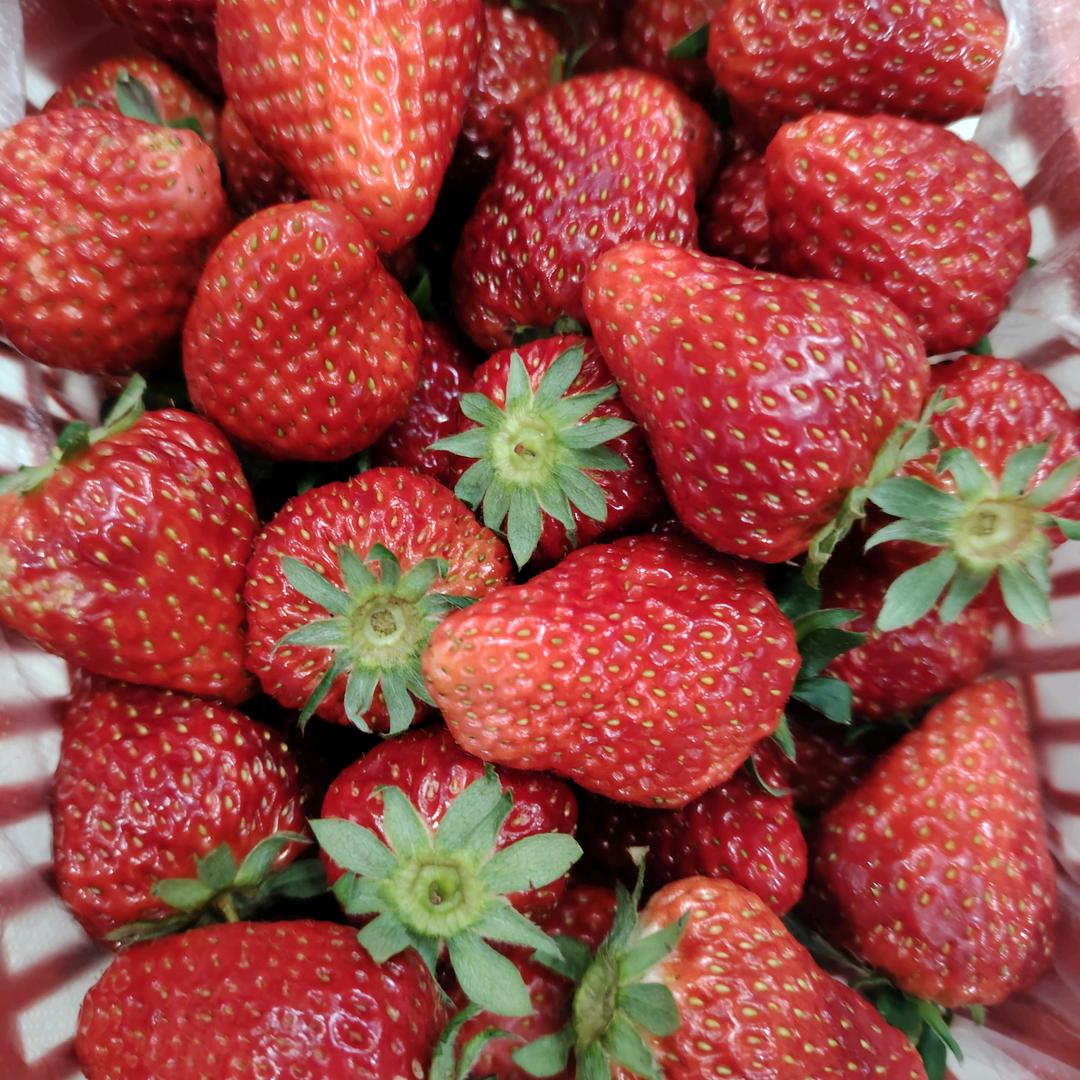 小花