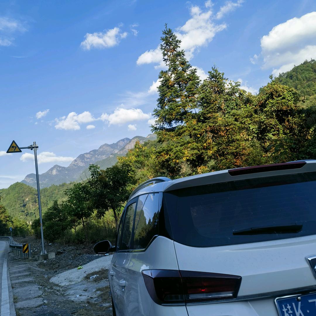 杨同学（悠悠雷山情）