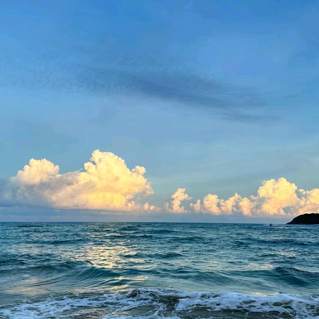 潇湘栀雨
