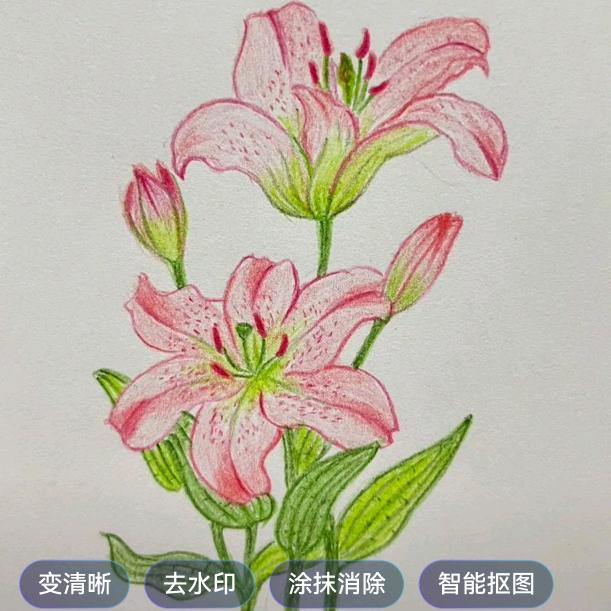 默默释然