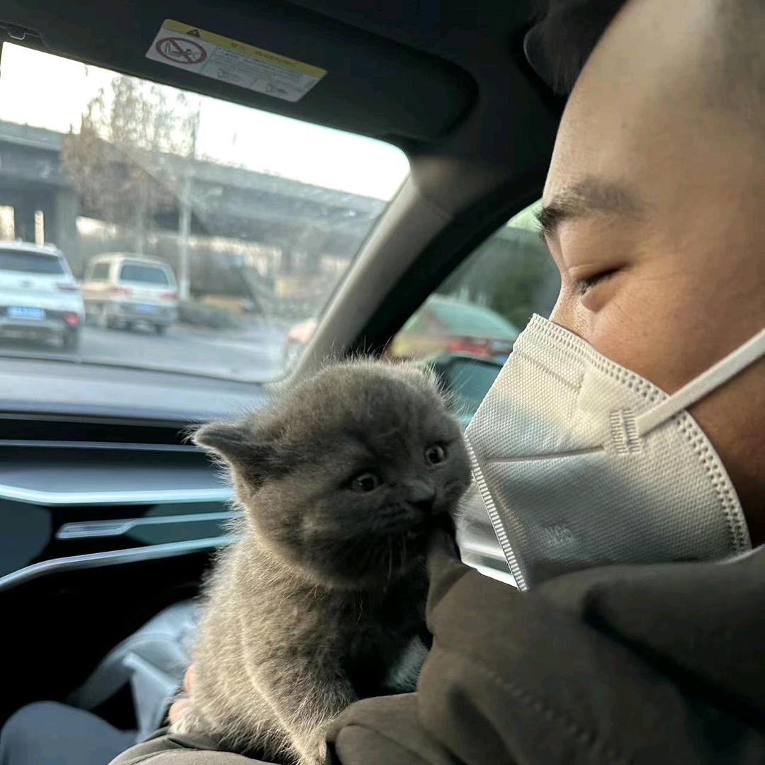 入熠